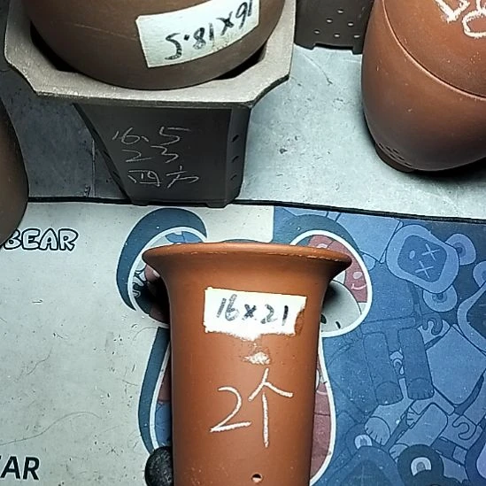 小红兰花两个微瑕