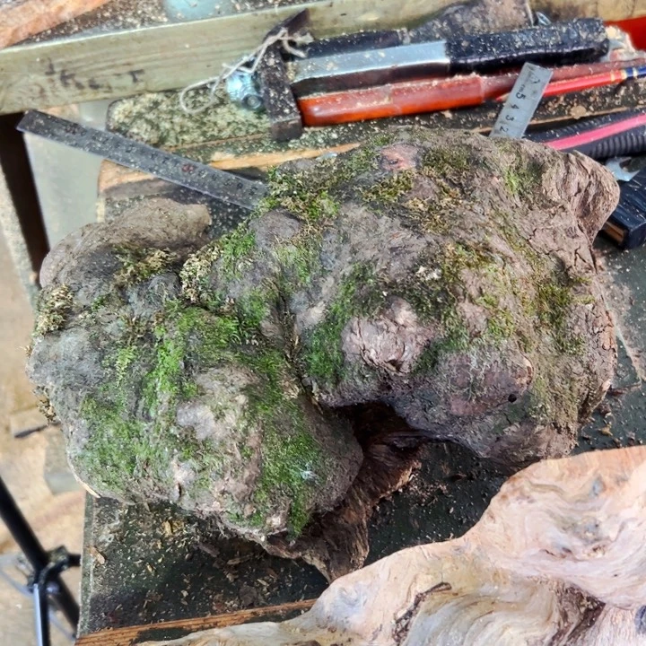 松木北沉香琥珀木