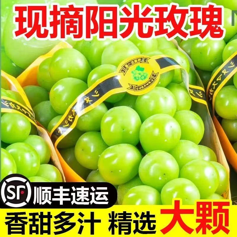 【顺丰包邮】阳光玫瑰葡萄新鲜水果当季应季脆甜无籽青提现货