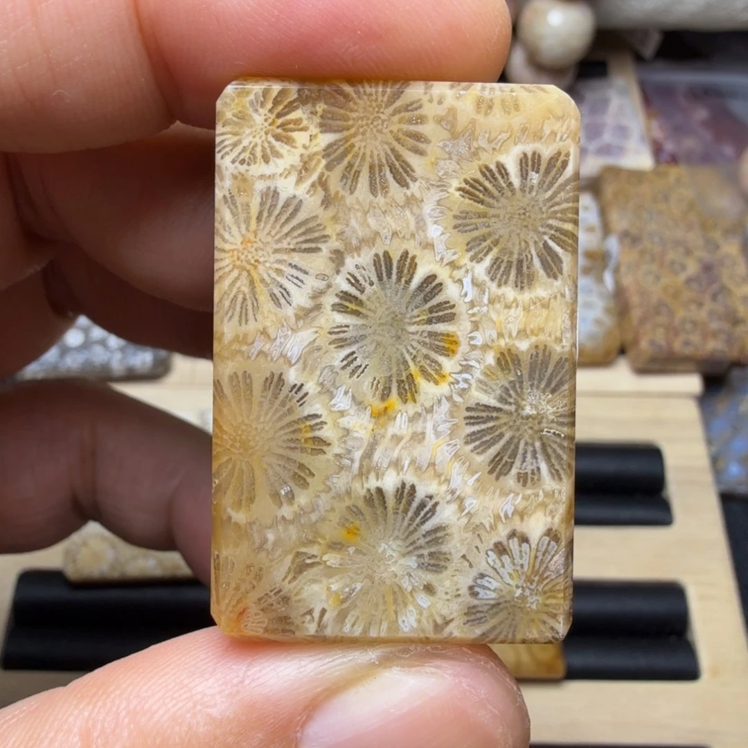 硅化玉未镶嵌纯天然色有机玉石保真色