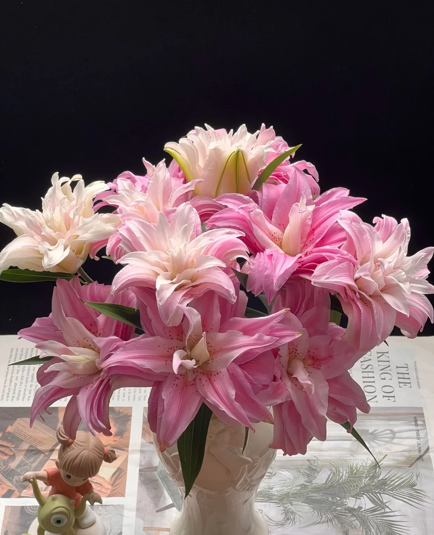 【戴安娜】香水百合东北基地直发