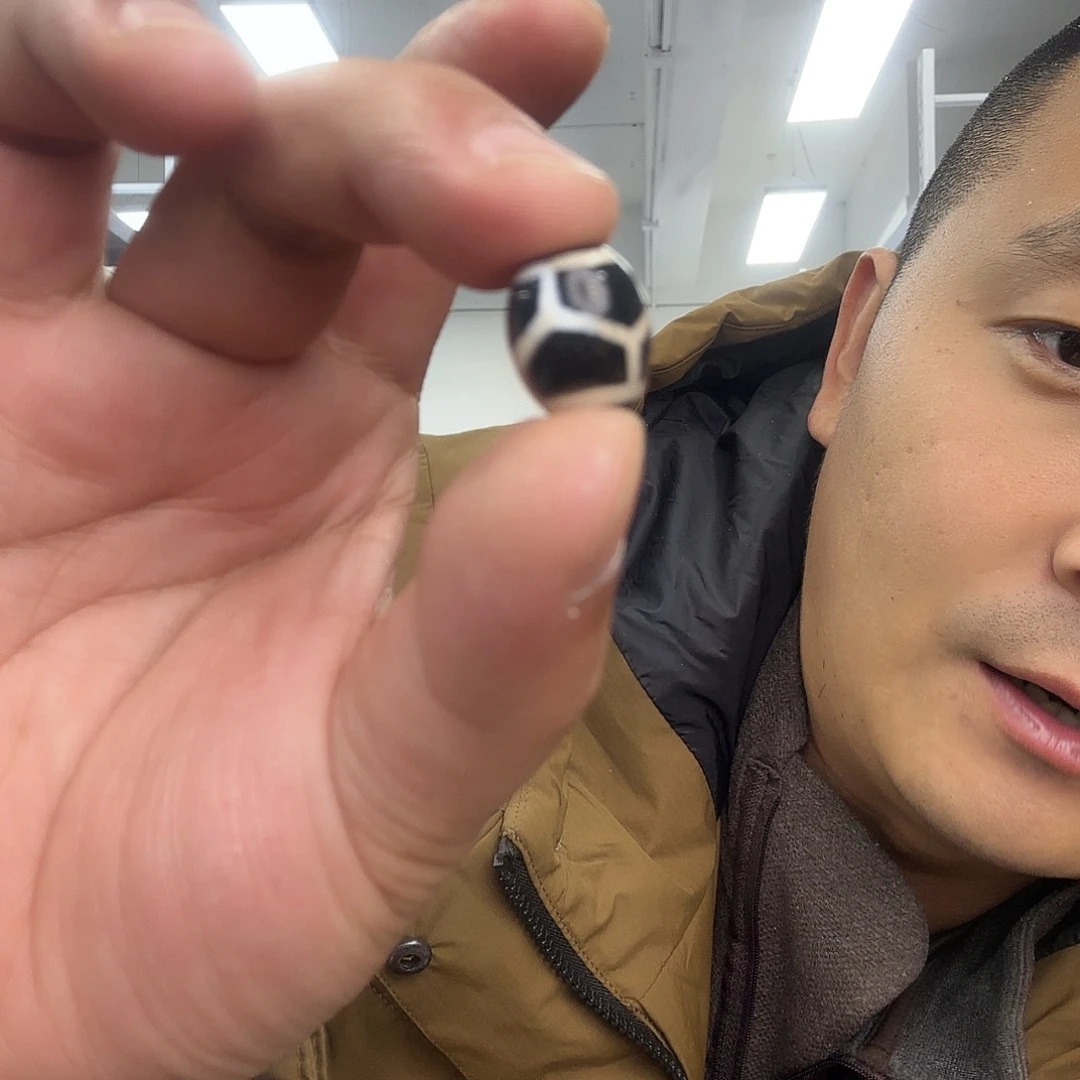 手串白玉菩提12龟背天珠