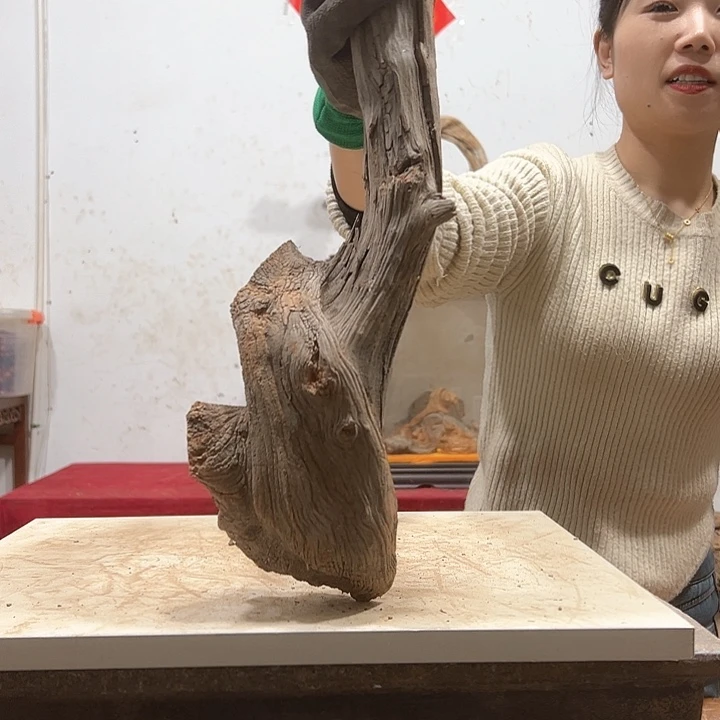 柏木古**香我们都是好孩子啊