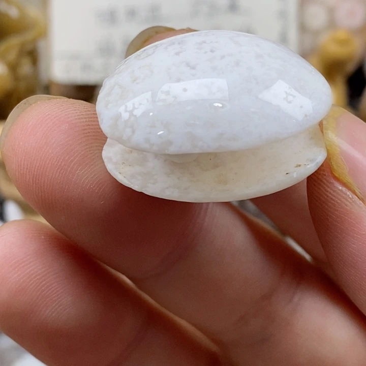 颈饰未镶嵌硅化珊瑚（珊瑚玉）有瑕 小