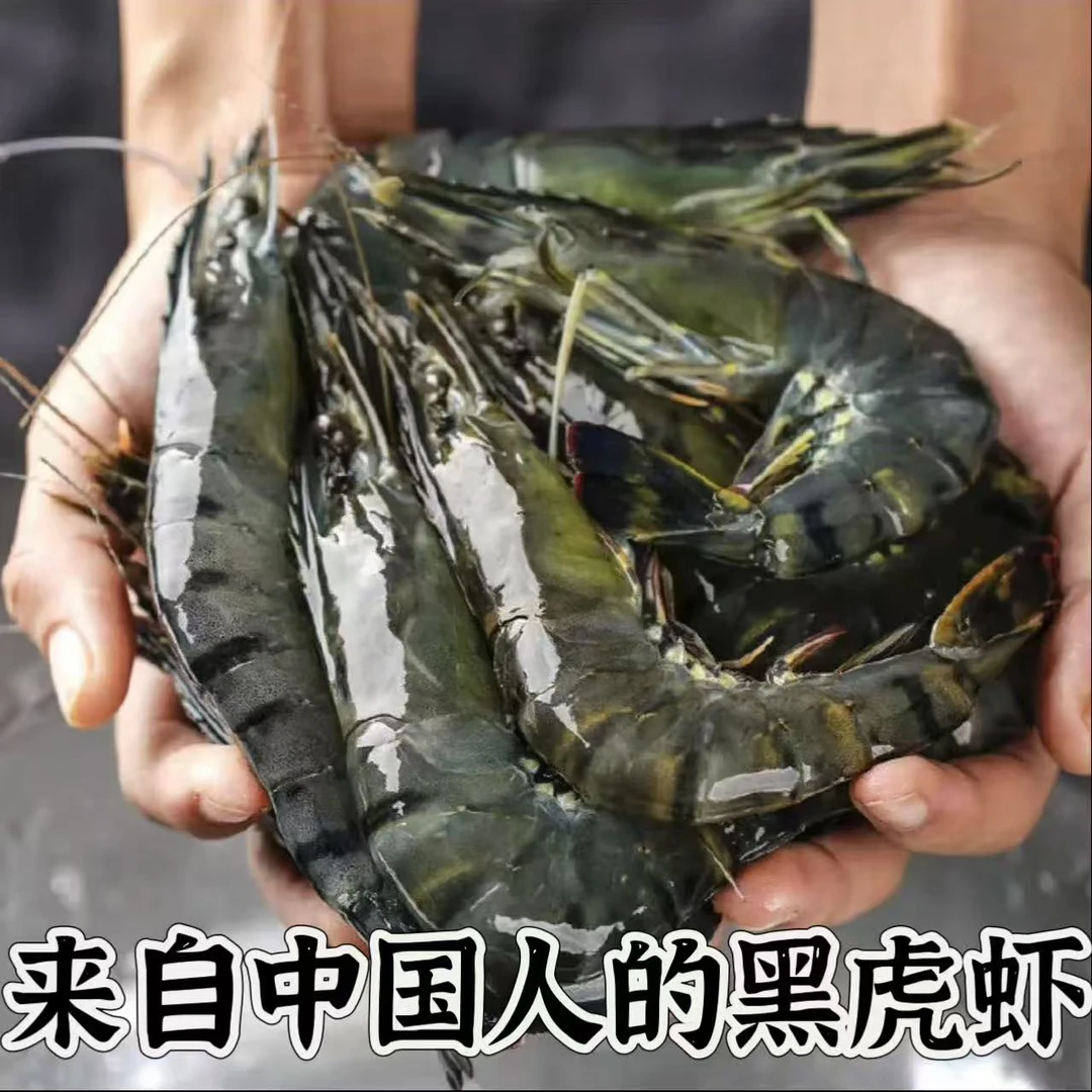 新鲜海洋海捕黑虎虾虾1斤16只左右顺丰薄冰直发