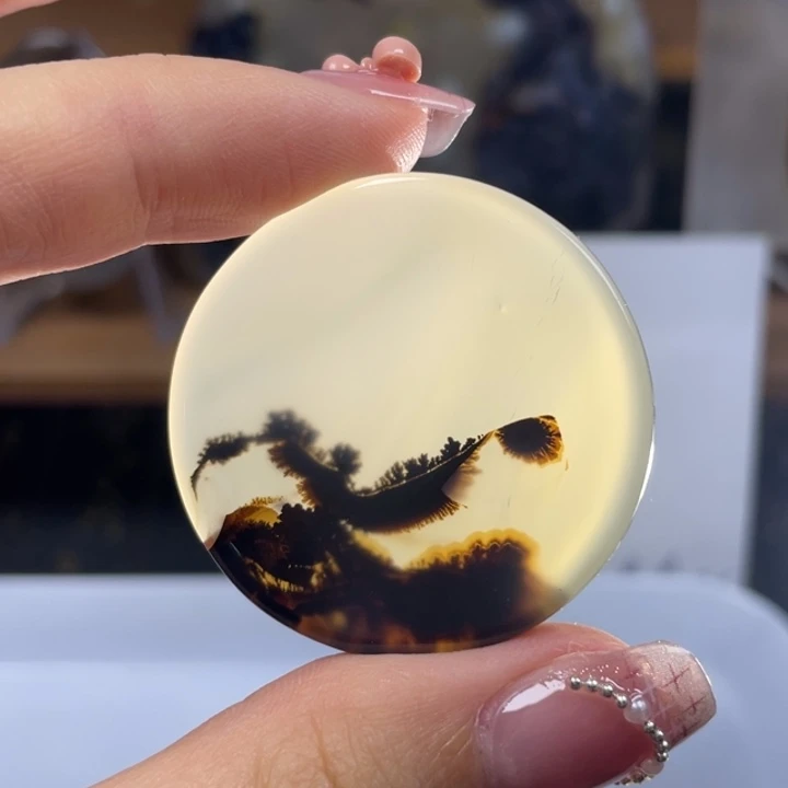 玛瑙/玉髓玛瑙象形未镶嵌