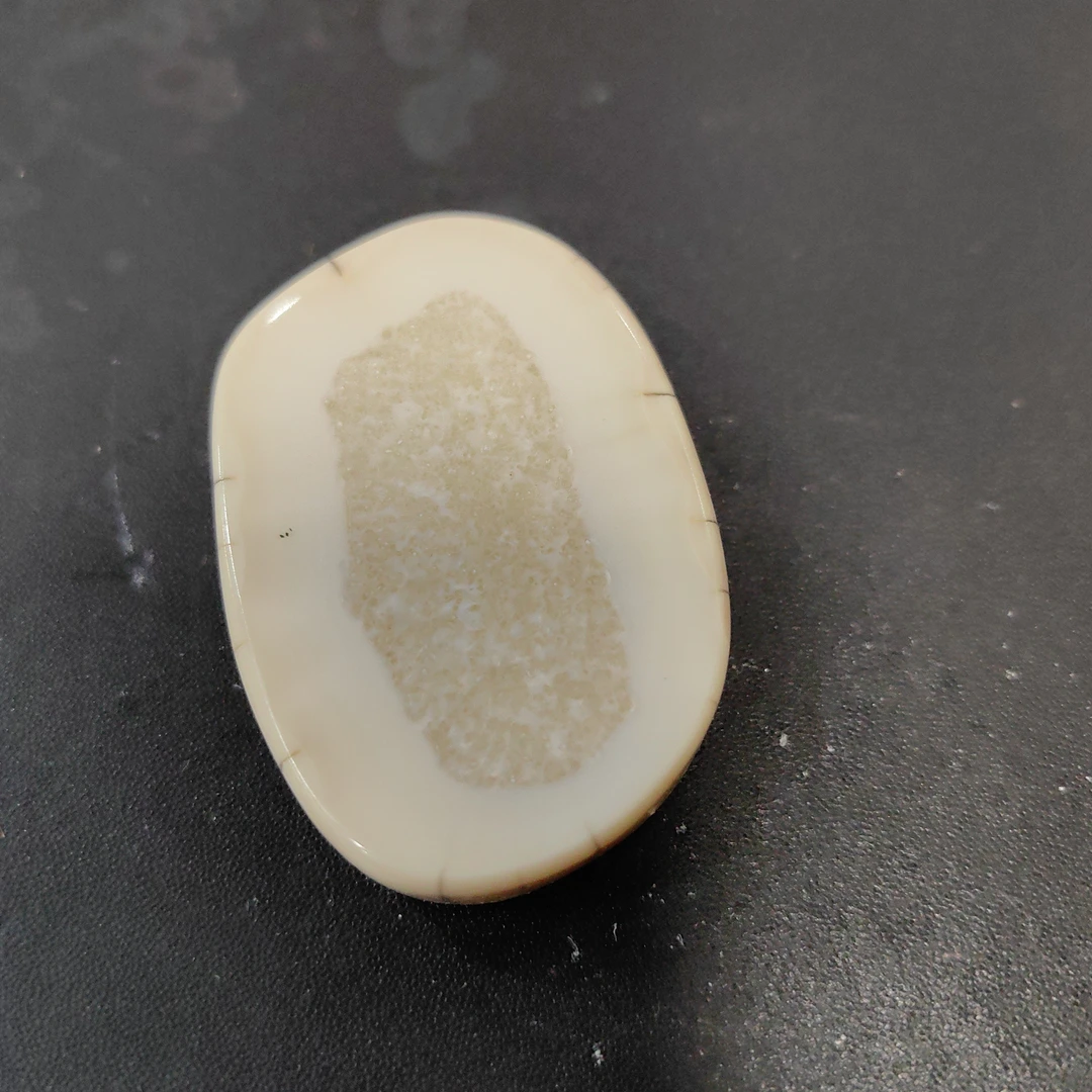 猛犸猛犸虬饼子TT1521