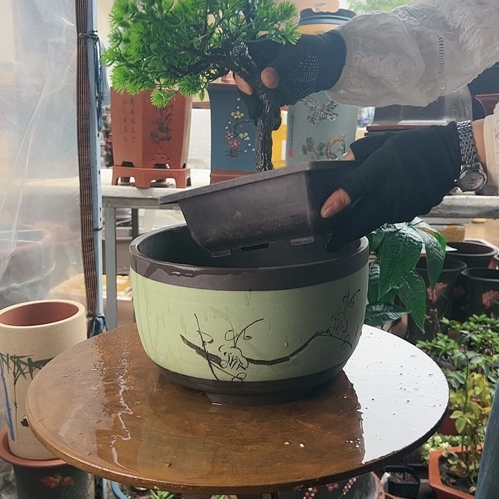 苹果绿大花盆花盆花盆