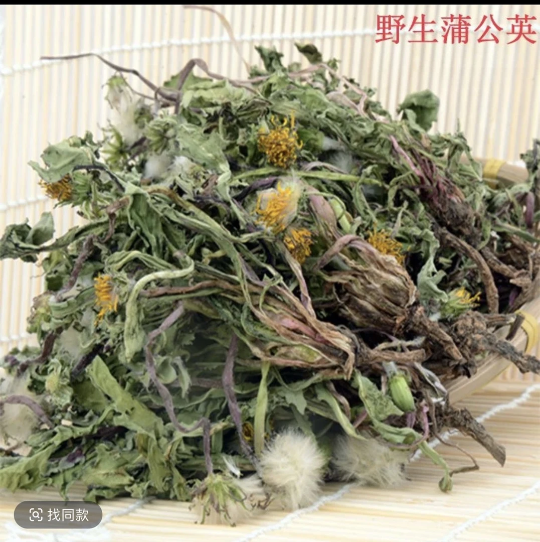 自家现挖新鲜晒干带根野生蒲公英可煮水 野生样子丑介意勿拍