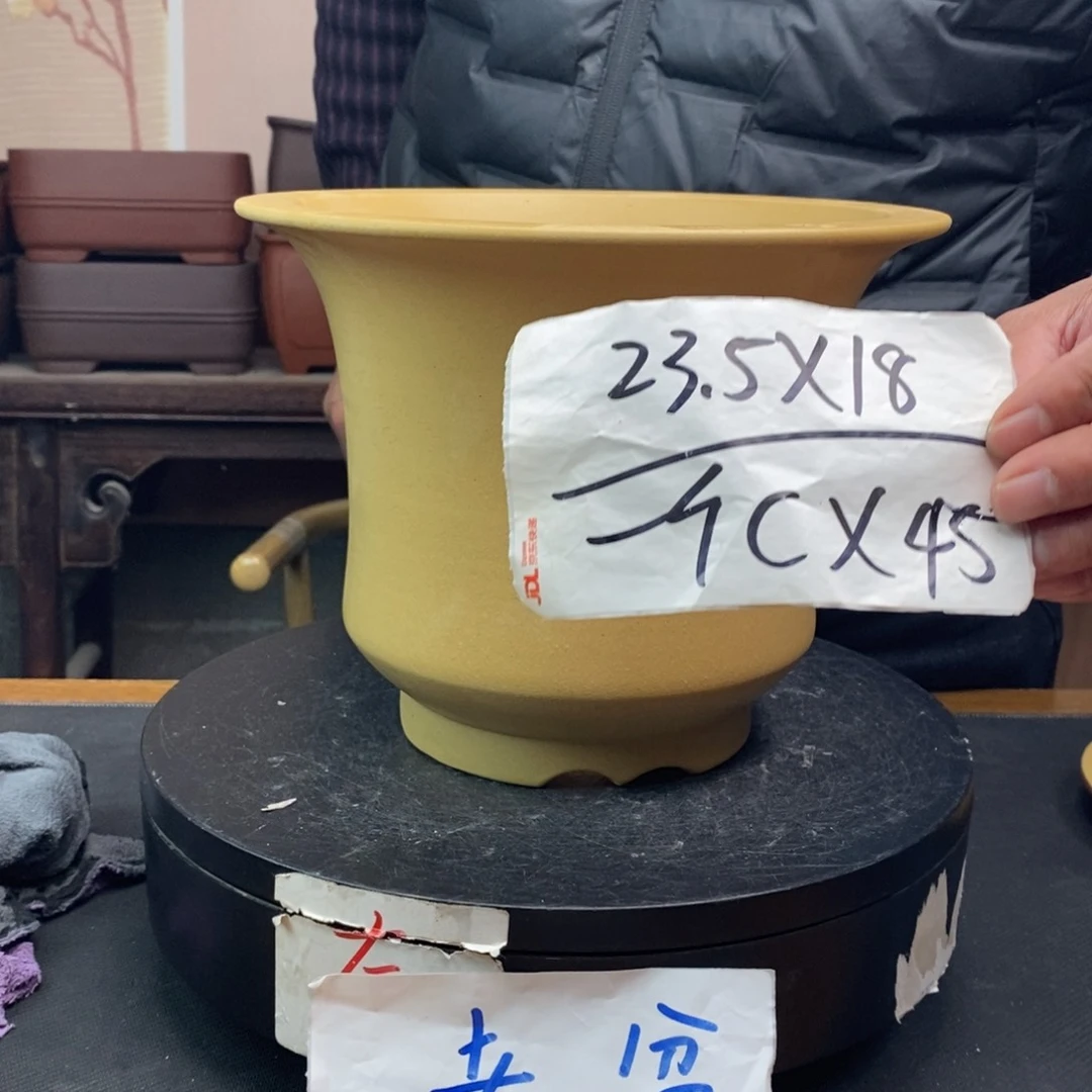 红陶CX45 货号一只