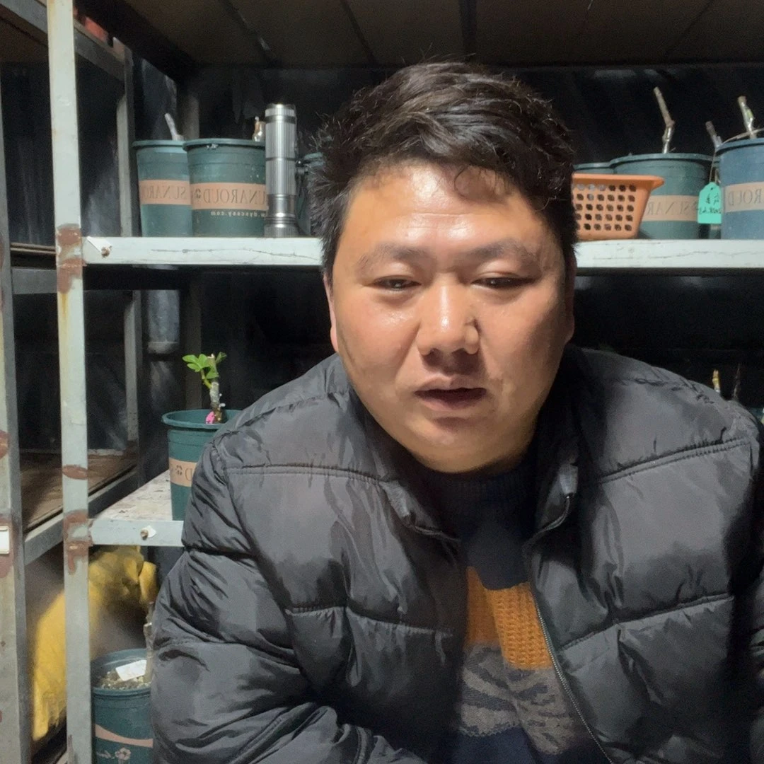 尘***扬无花朵直播间福袋，黑金翅白头苗