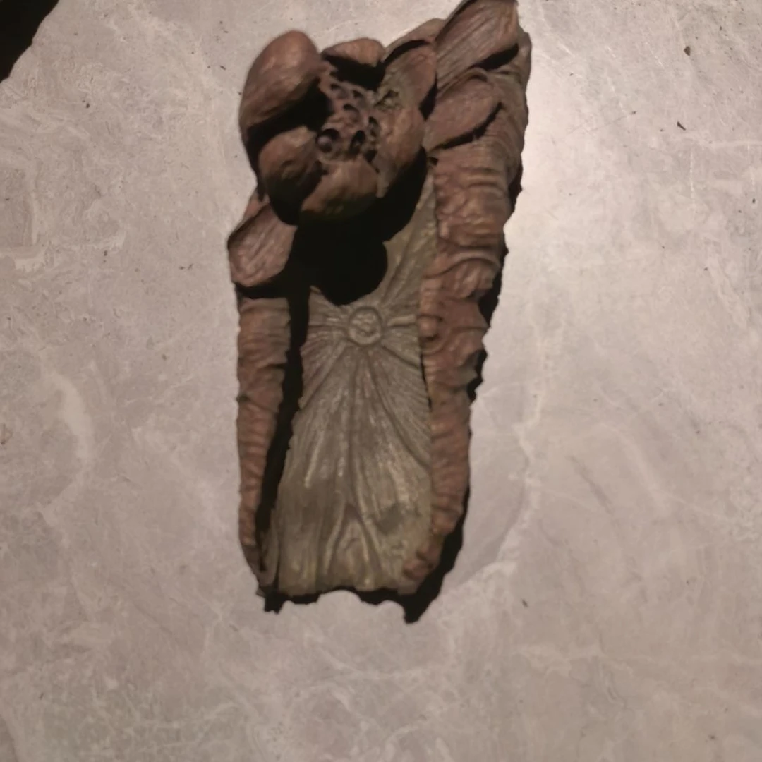 阴沉木M*手工壶承乌木金丝楠。