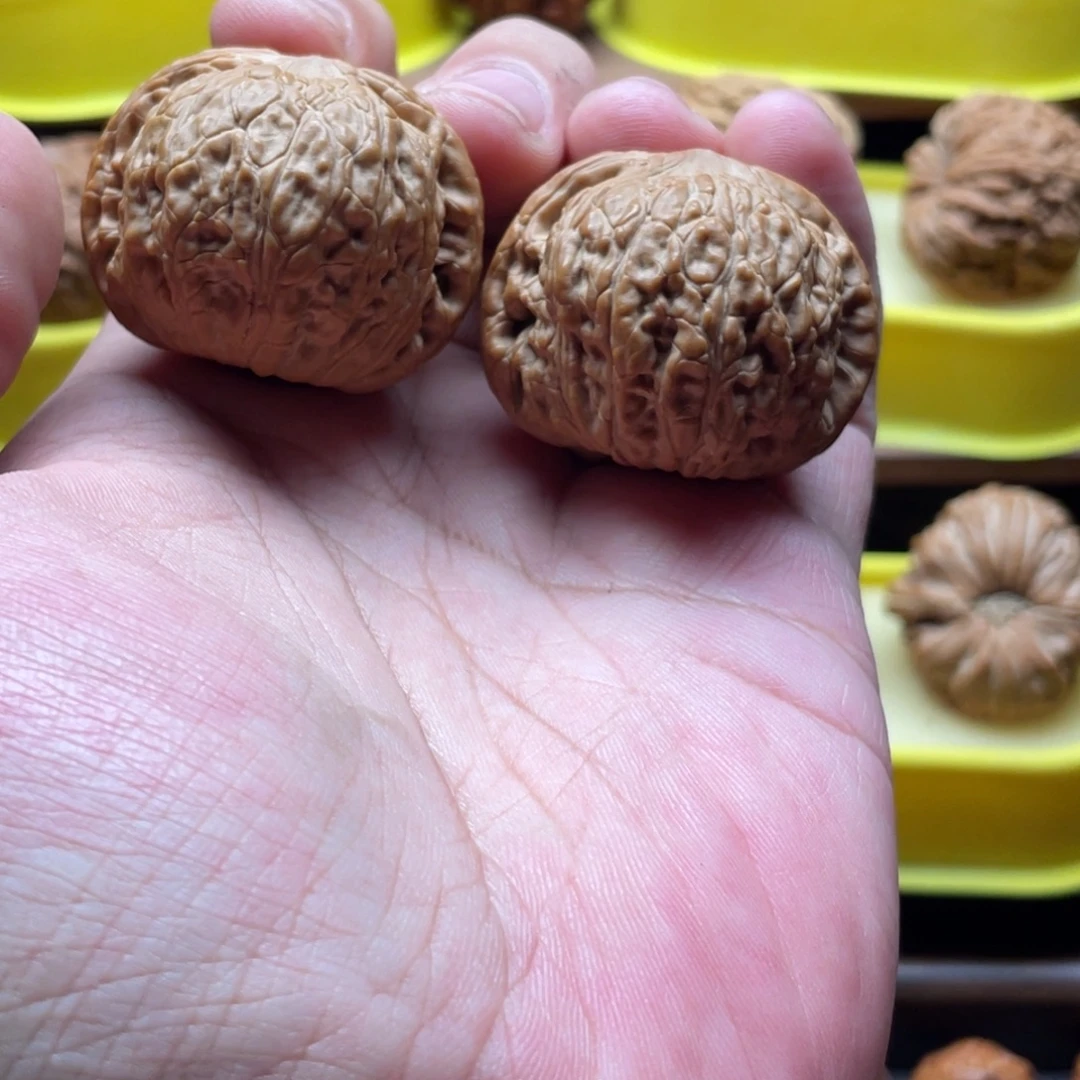 文玩核桃把件39全品高端小众泥鳅背精配