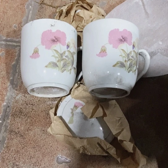 用****5Zczczcxcxczcxxxxxxc