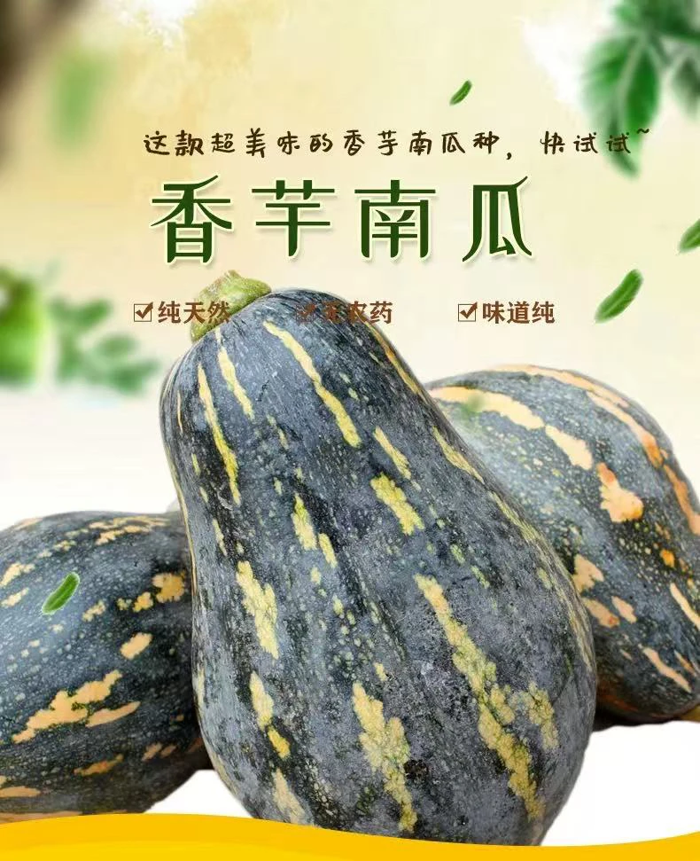 正宗广西香芋南瓜