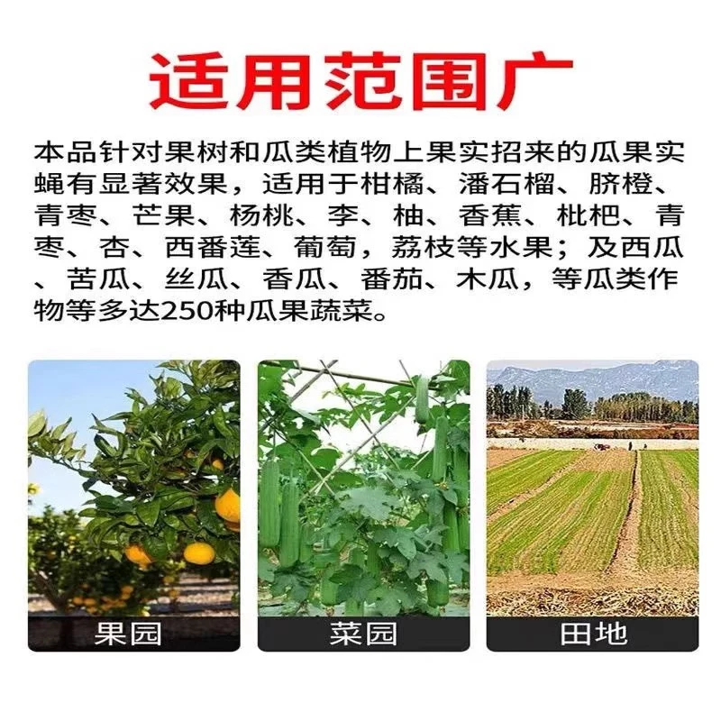 粘虫球瓜果园大小实蝇丝瓜柑橘大实蝇诱蝇球杀针蜂贴果蝇诱捕好物