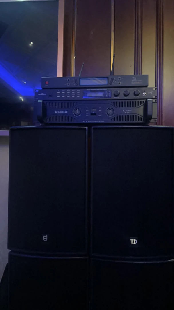 不包邮唐龙太极10寸ksound系列