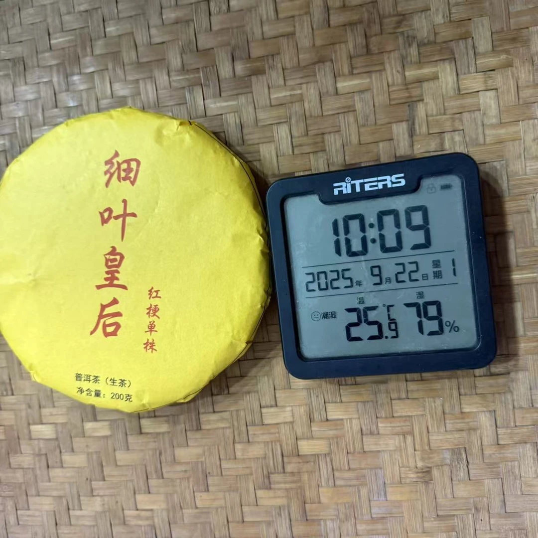 2024年南彩红梗细叶皇后单株普洱生茶饼200克DF9号9月22日