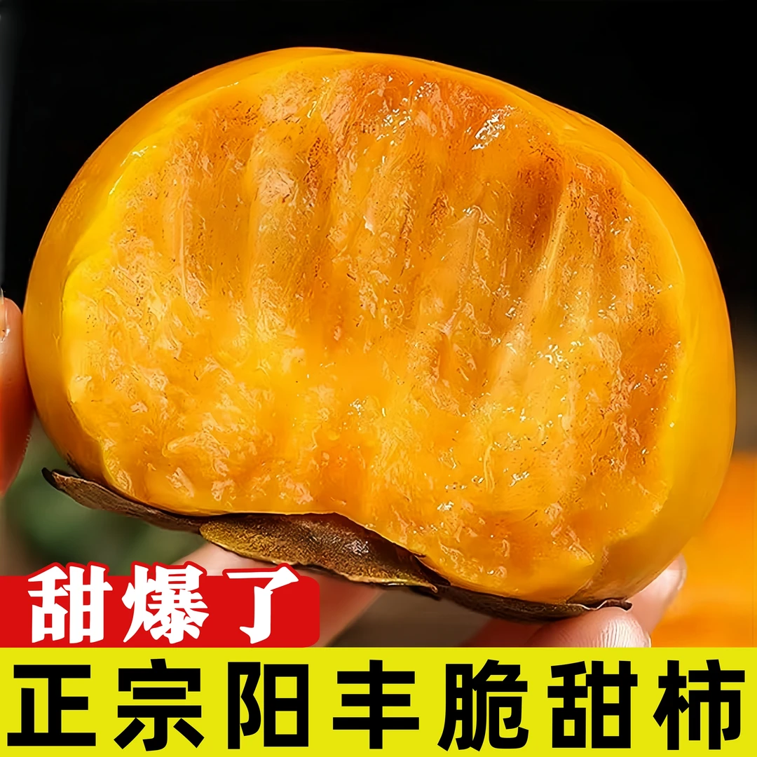 新鲜现发巧克力脆柿子当季正宗冰糖心黄青色发货甜脆包邮
