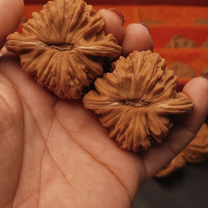 ****ɞ核桃汉高楼47尺核桃