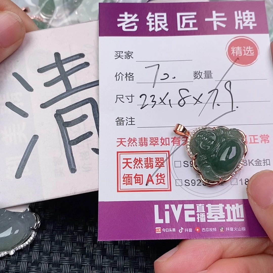 翡翠银S925镶嵌颈饰