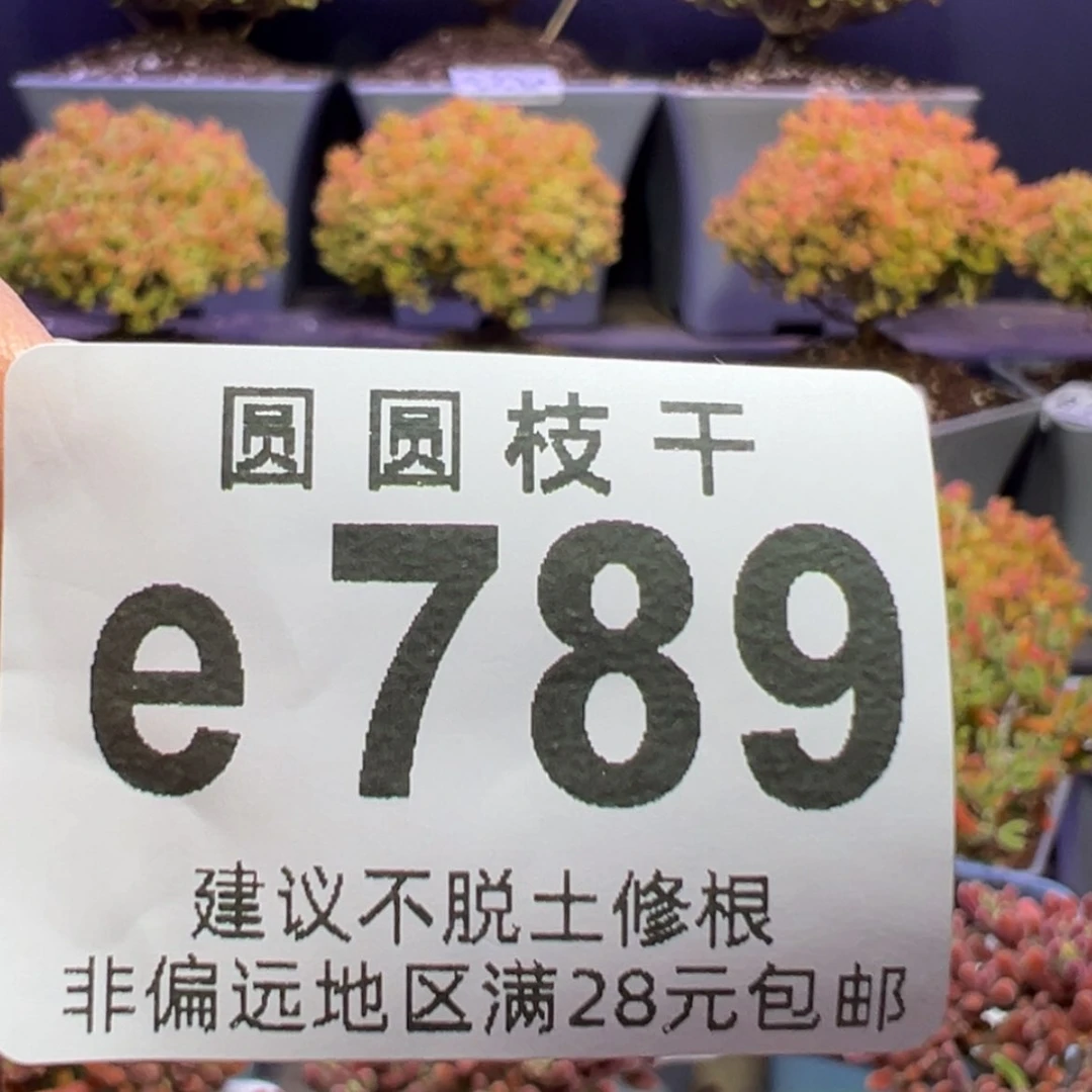 【闪购商品】早****?e789琉璃杂30元钻石杂10元