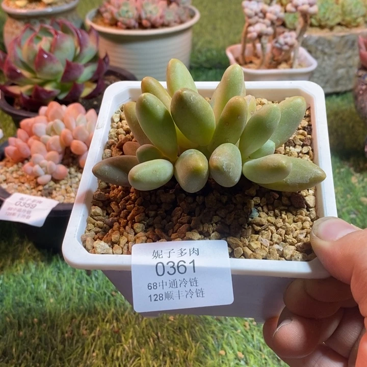0361啊啊啊啊啊啊啊啊啊啊
