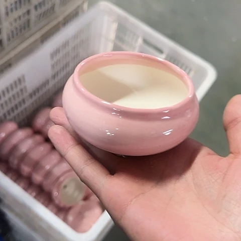 ····全是福利····