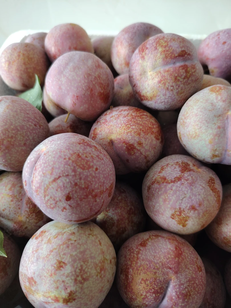 【三华李】信宜钱排三华李银妃红肉三华李