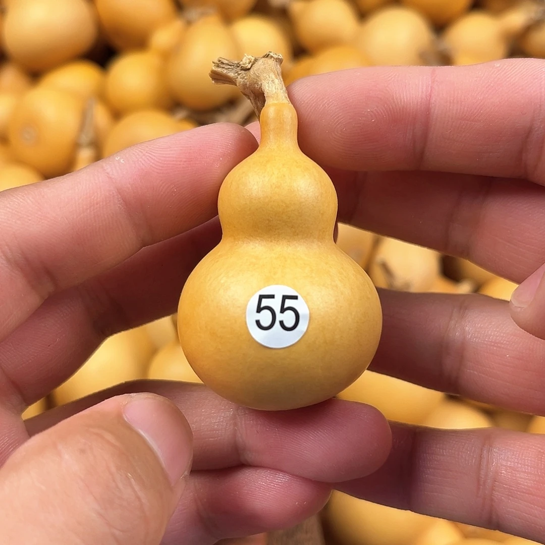 三葫芦葫芦葫芦葫芦 55