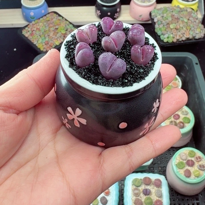 616零下地区记得拍保温箱