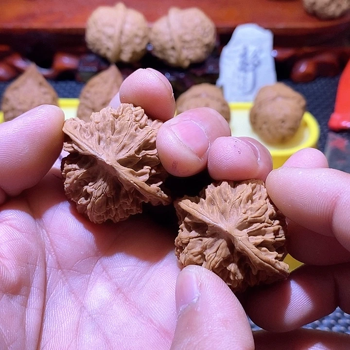 盘龙文无花无黄全品