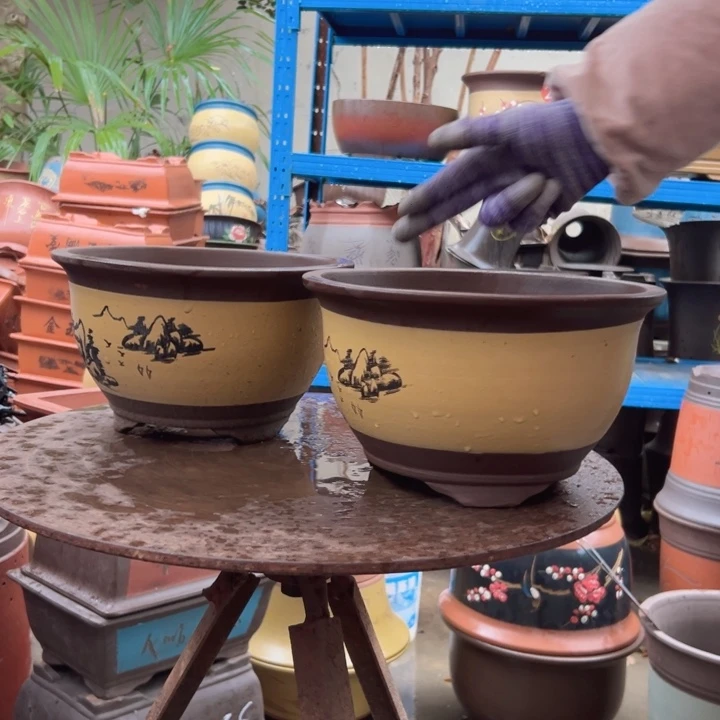 25+25黄色三角金钟花盆花盆