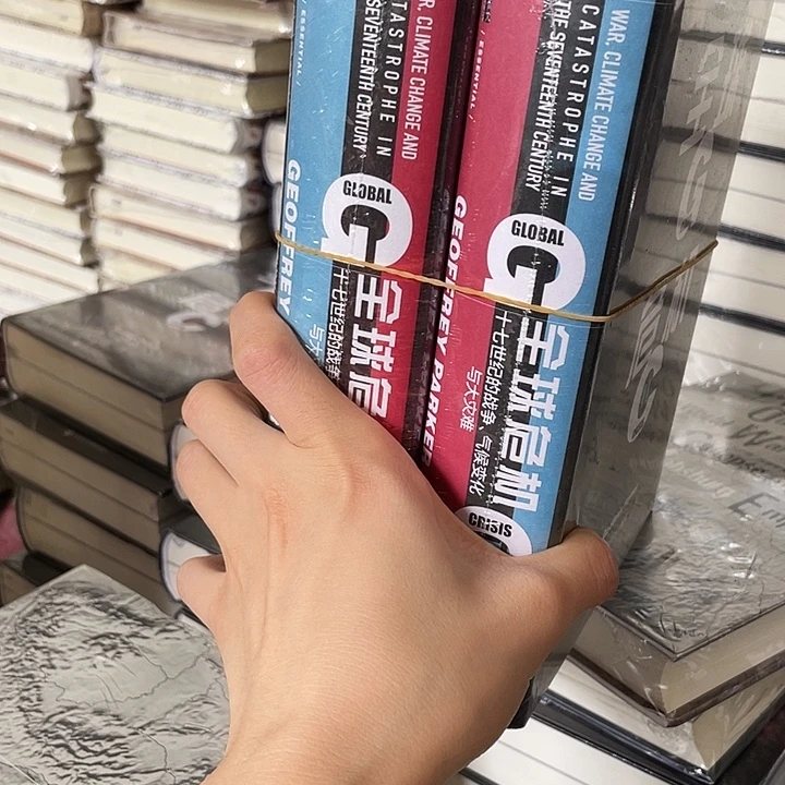 全球危机：微瑕图书