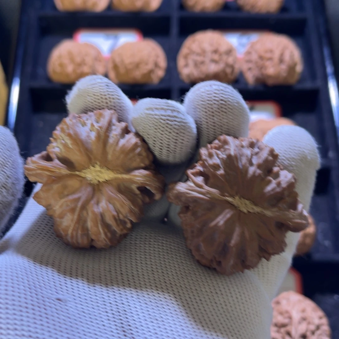 L*秦皇岛山地果全品—07