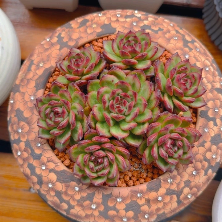 香发货11111111111111