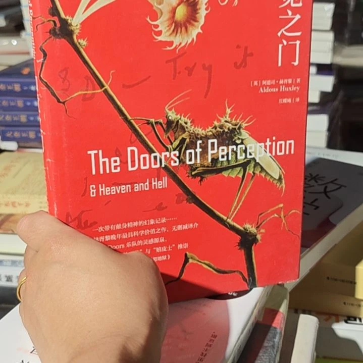 知觉之门精装塑封全新