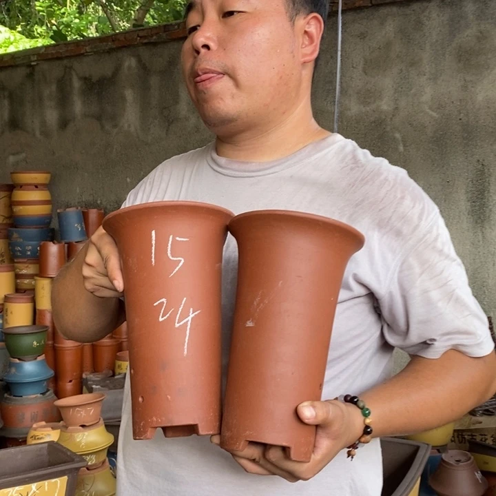 紫砂花盆盆栽花卉种植