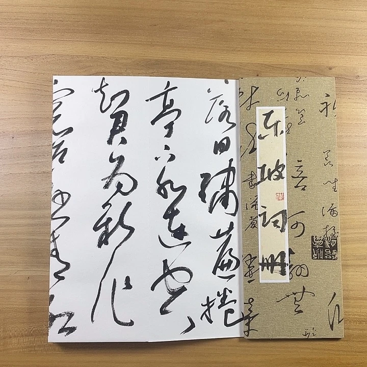 书法中书协老师作品