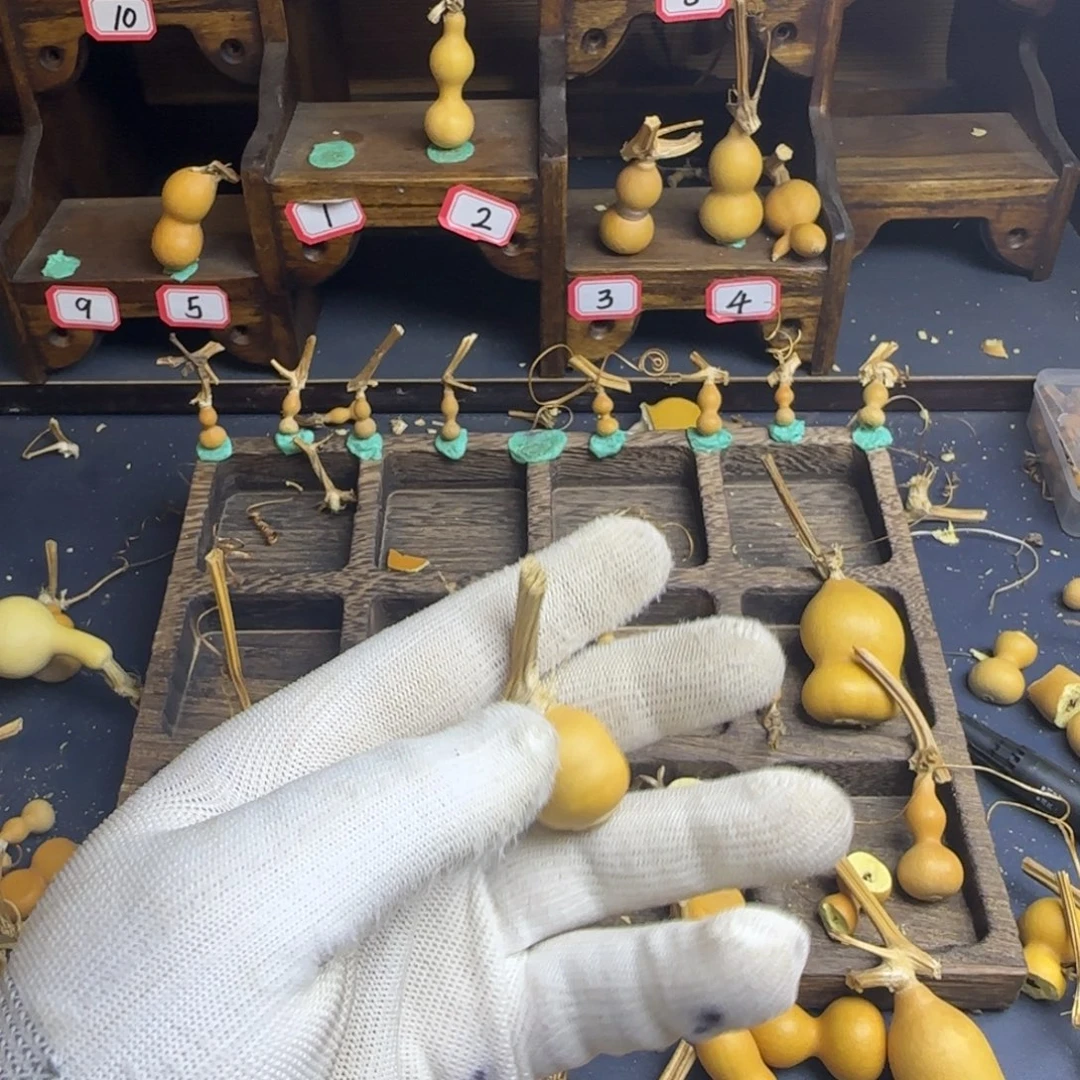 A***咖我也是很喜欢这个节目的