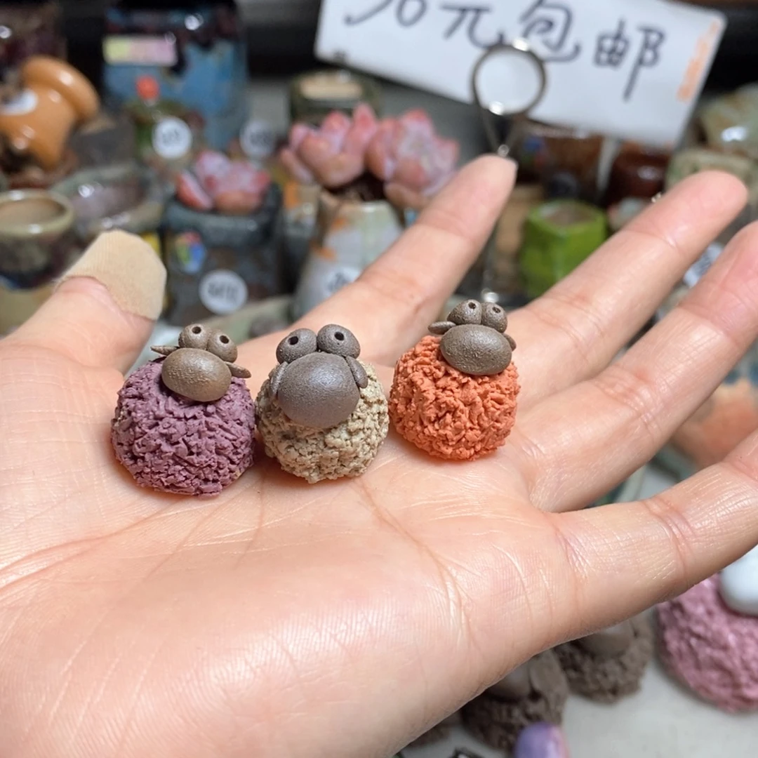 神**咩处理的，不退不换的