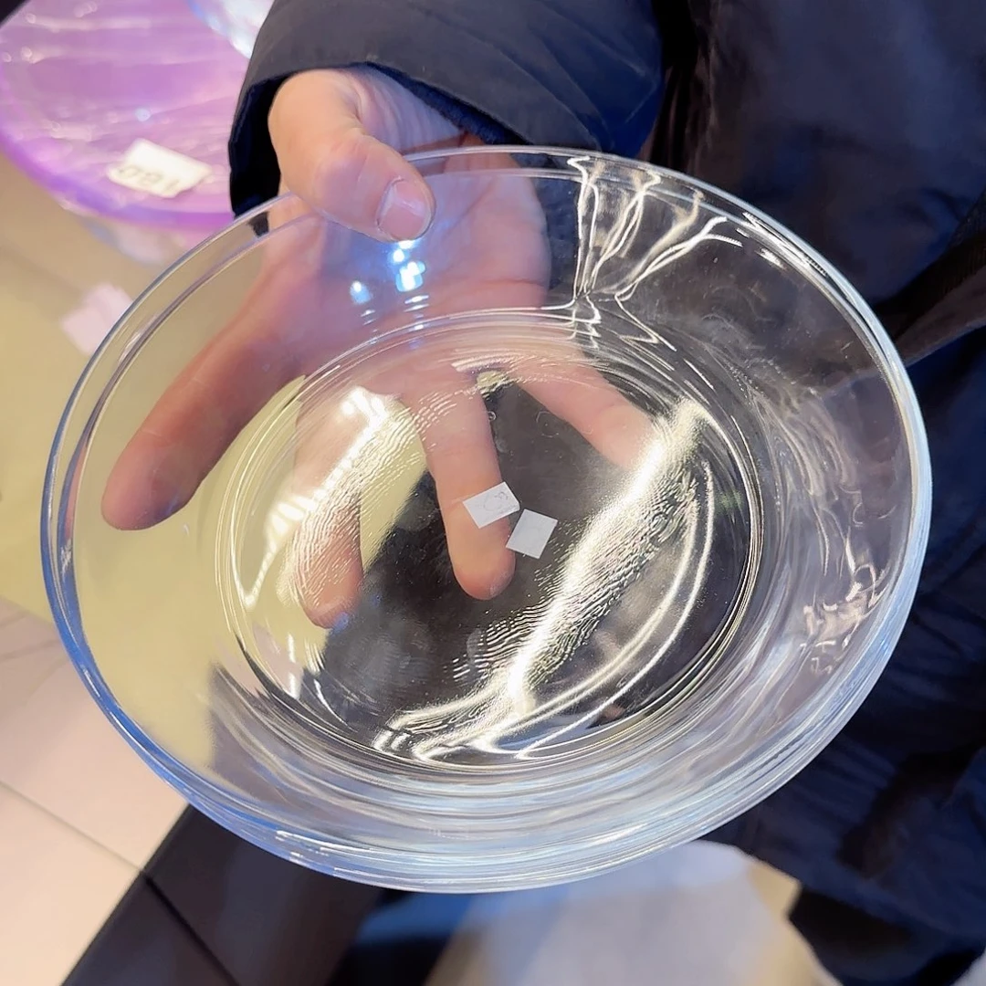 459高硼硅玻璃杯周边盘子透明四只