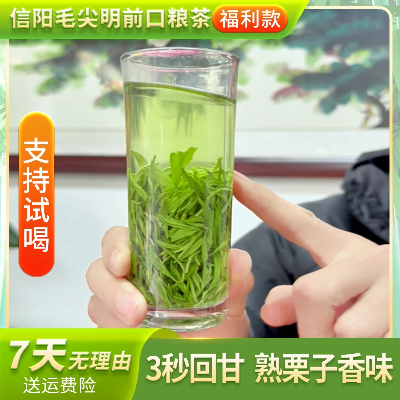 信阳毛尖2025 口粮茶  三秒回甘，鲜爽耐泡 双十一活动福利