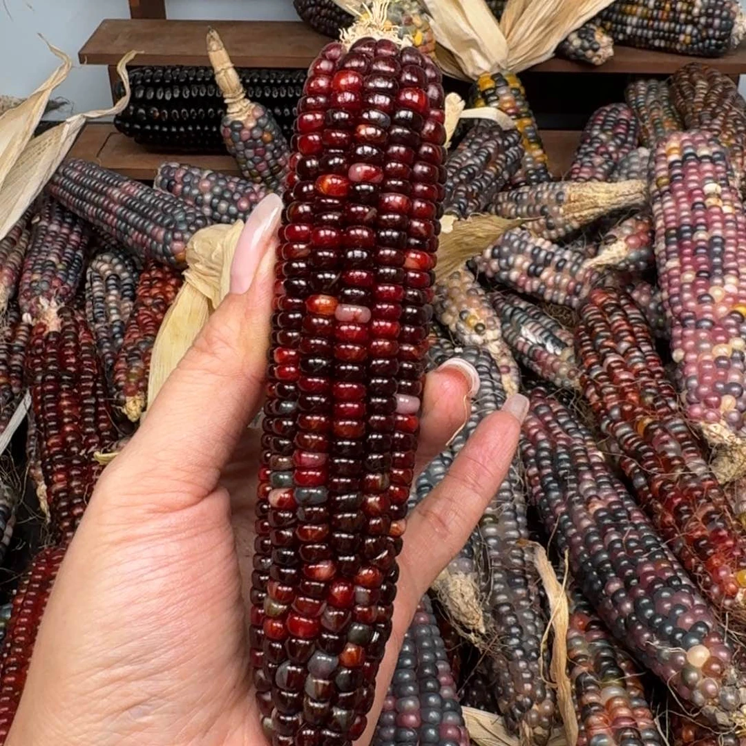 柏香籽/百香籽吊坠i*