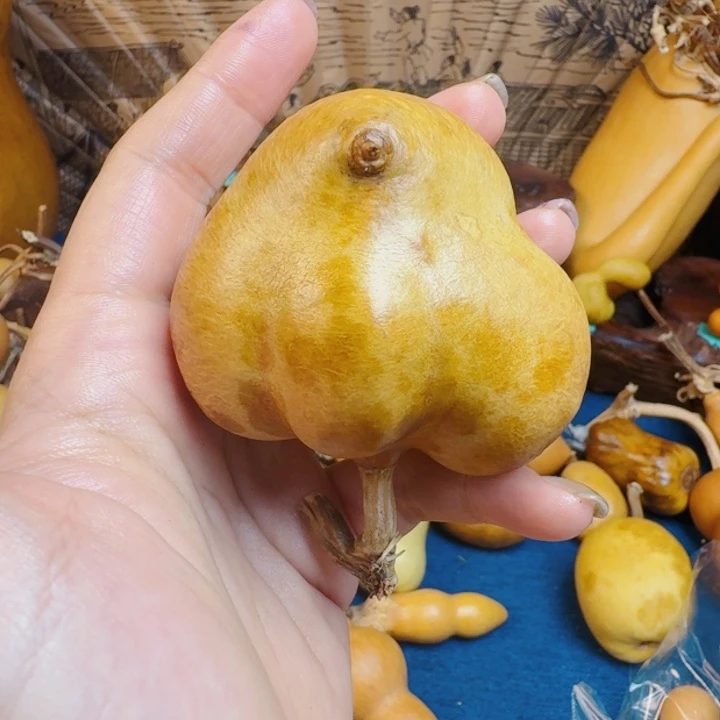一***%跑去兔兔图兔兔了