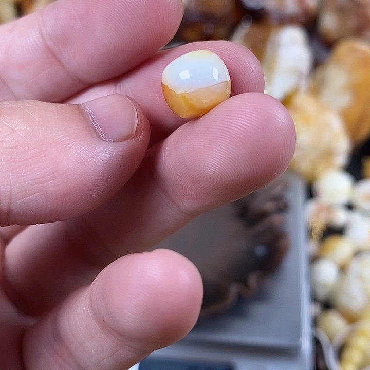 裸石琥珀未镶嵌我
