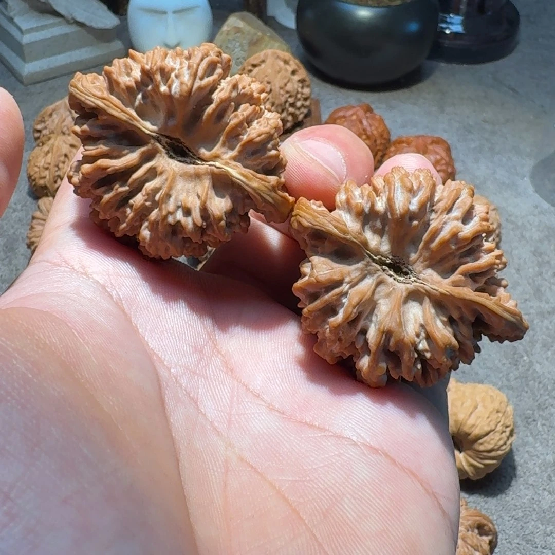 手串/手链核桃伟*48全品满天星
