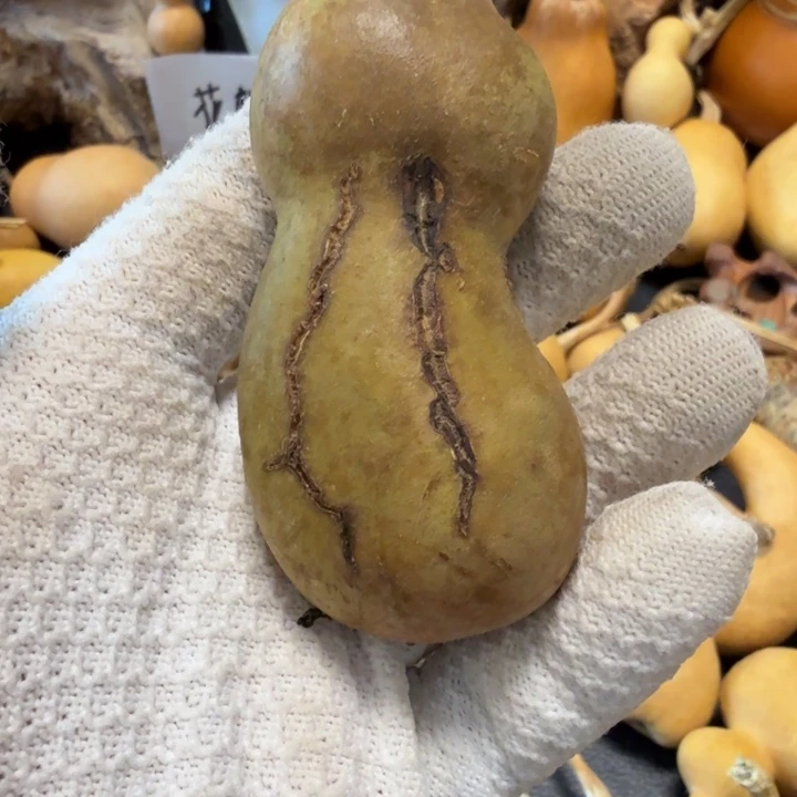 心***安66666677777778888899