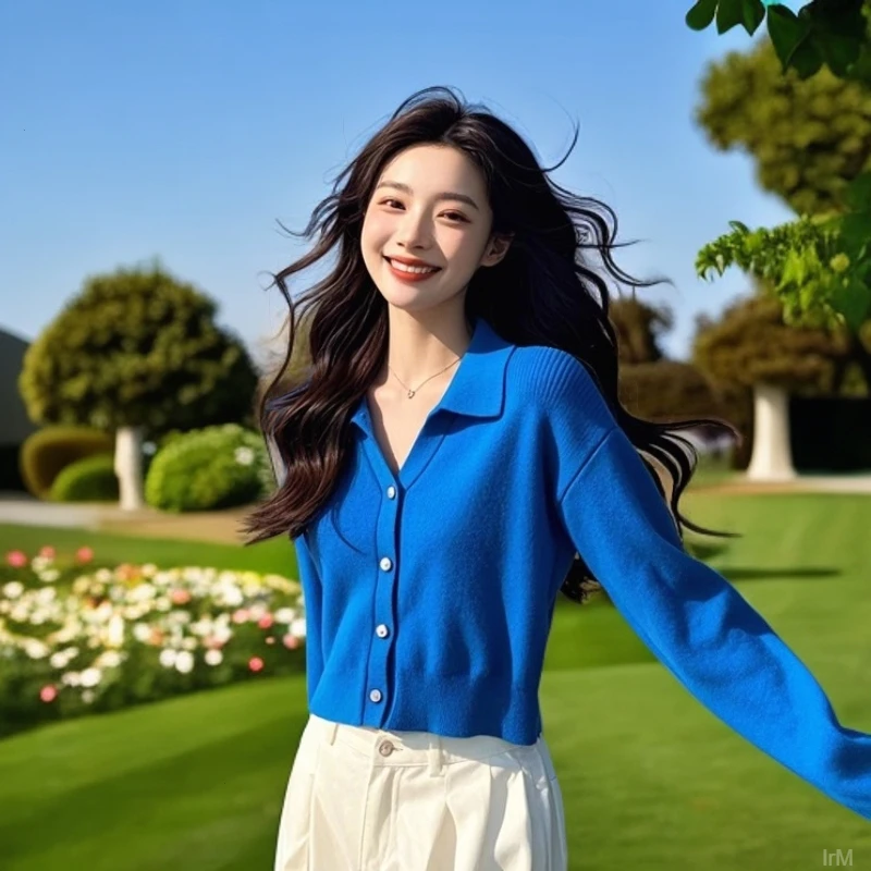 法式高级感polo领克莱因蓝色毛衣2025秋冬新款针织开衫外套上衣