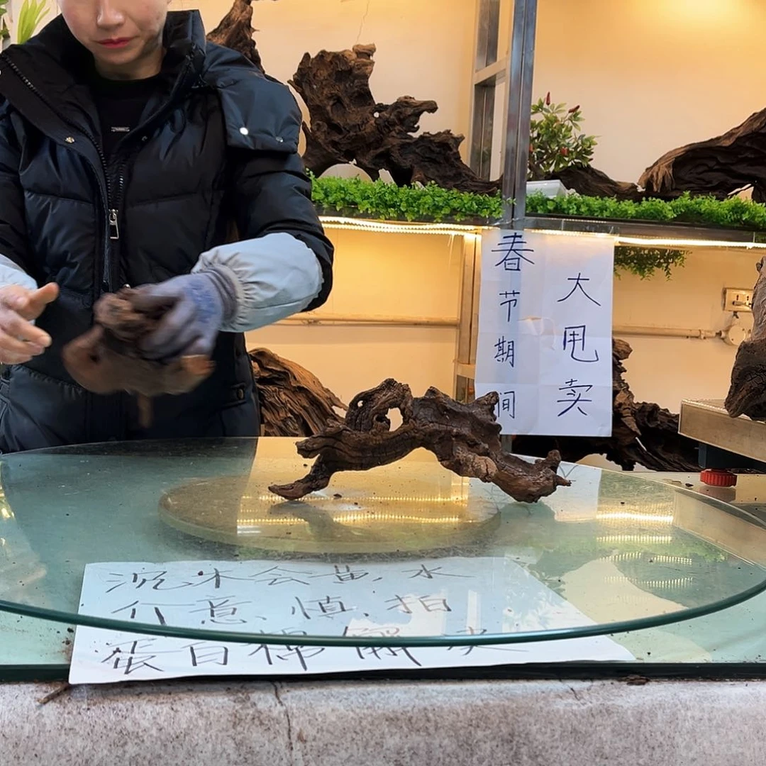 柚木沉木鱼缸造景